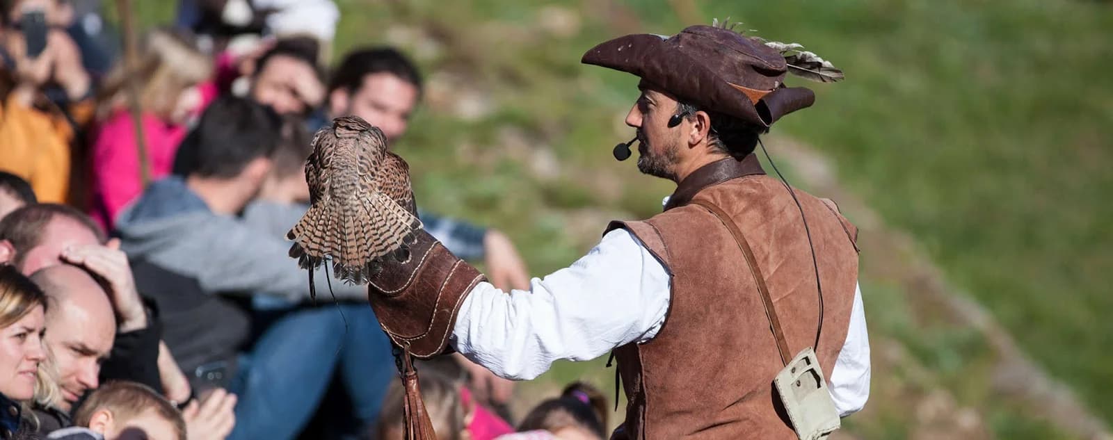 LES AIGLES DE ROCHEBARON
