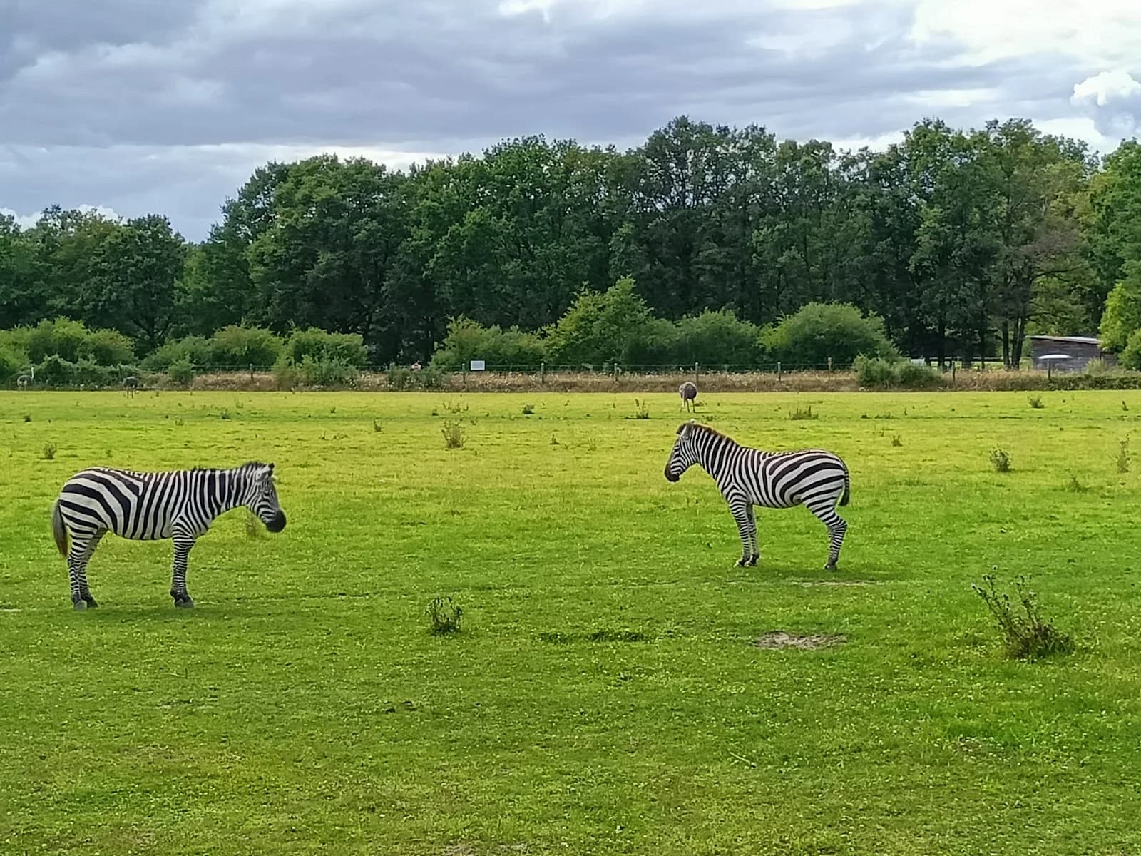 Parc Animalier de la Haute Touche