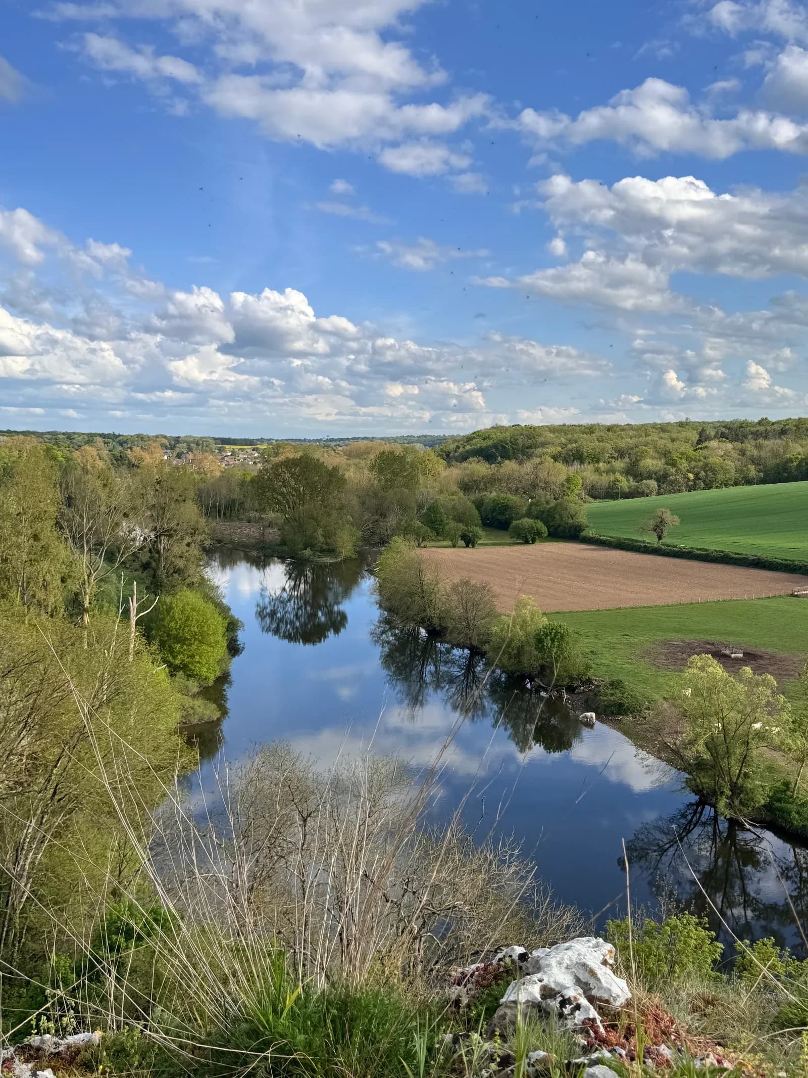 Le Bois des Roches