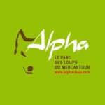 logo Alpha, le temps du loup