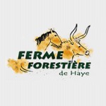 logo Ferme forestière de Haye