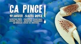 A l’Aquarium de Paris, Ca Pince !