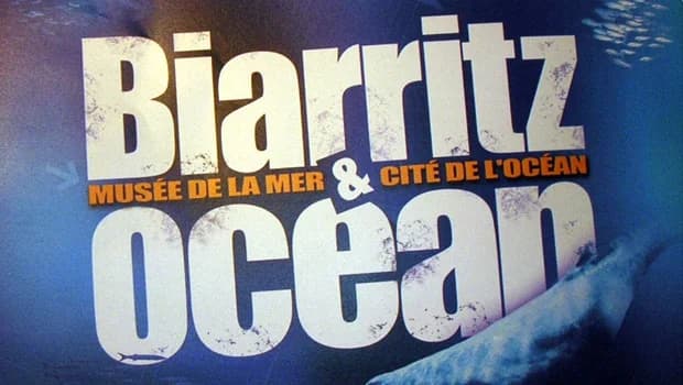Chasse aux œufs de raies au Musée de la Mer de Biarritz