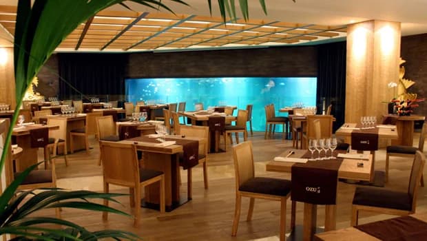 Fêter la Saint-Valentin à l'Aquarium Cineaqua de Paris