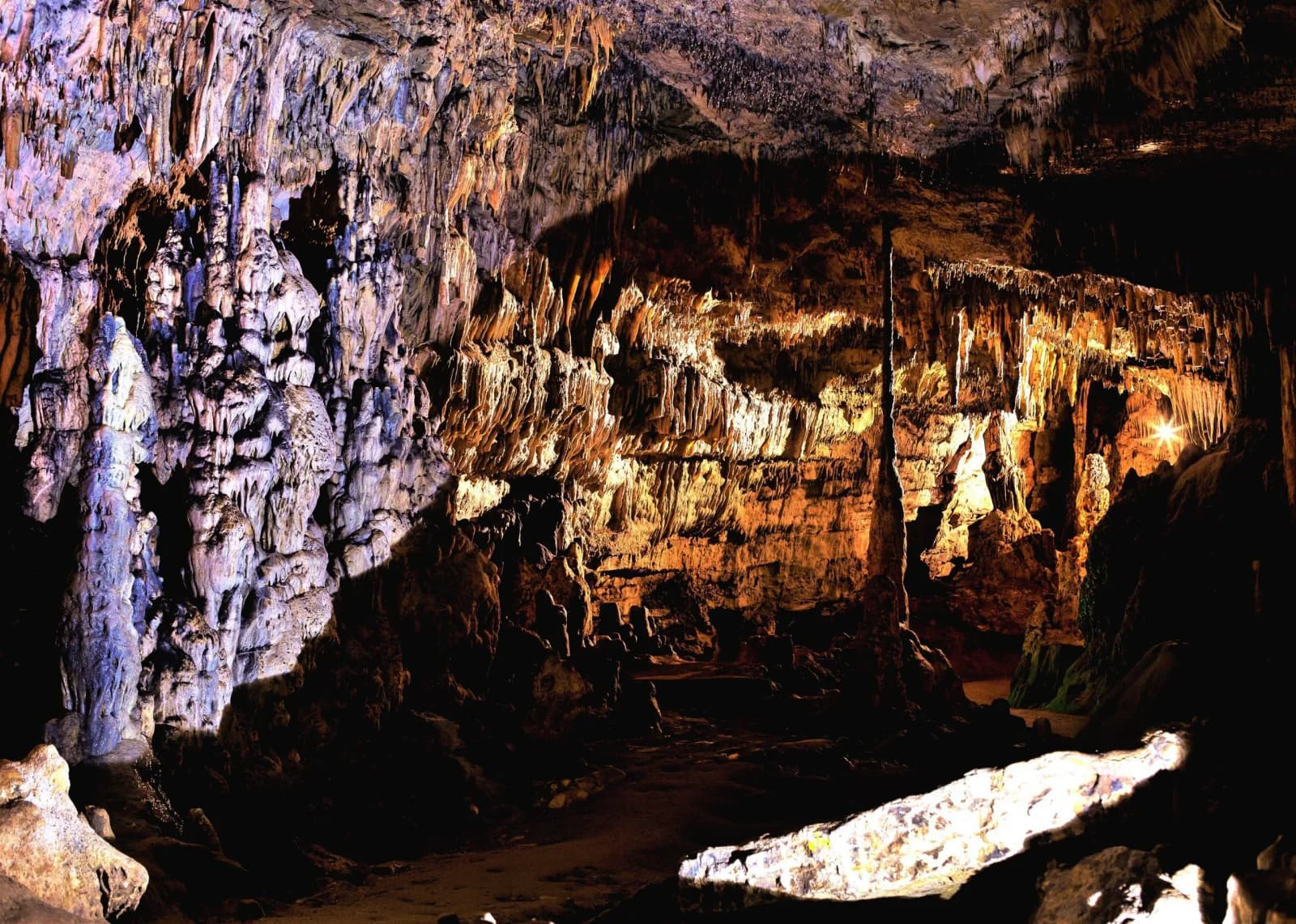 Les Grottes d'Arcy : un voyage préhistorique au cœur de la Bourgogne