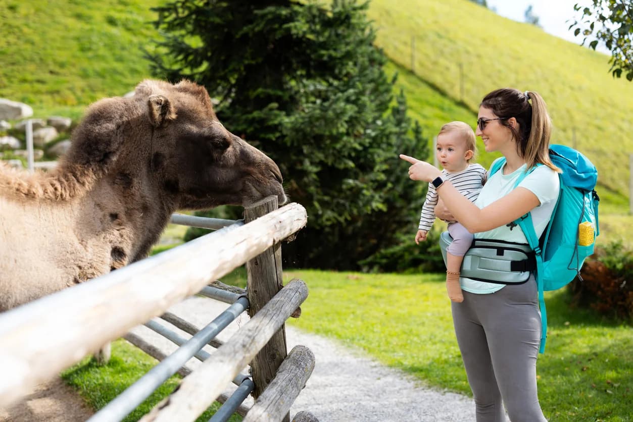 Le plus beau zoo de France ? Notre verdict après 17 ans de visite