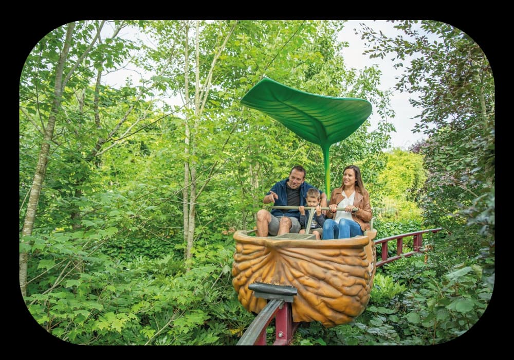 Hôtel pas cher près de Terra Botanica : où dormir