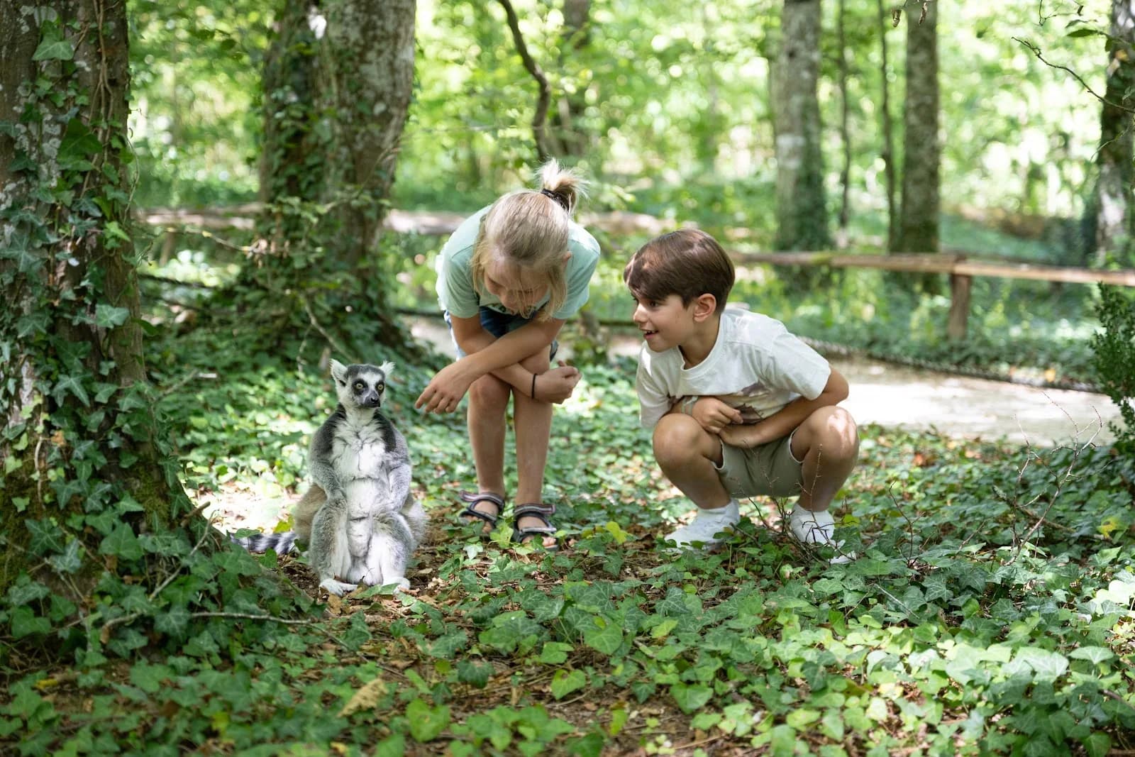 La Vallée des Singes
