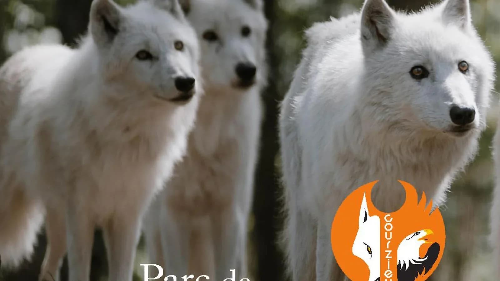 Parc Animalier de Courzieu