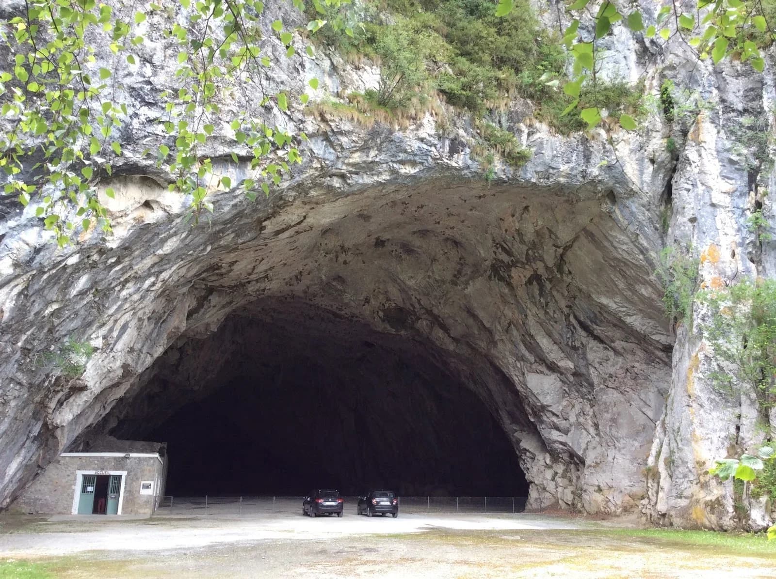 Grotte préhistorique de Bedeilhac
