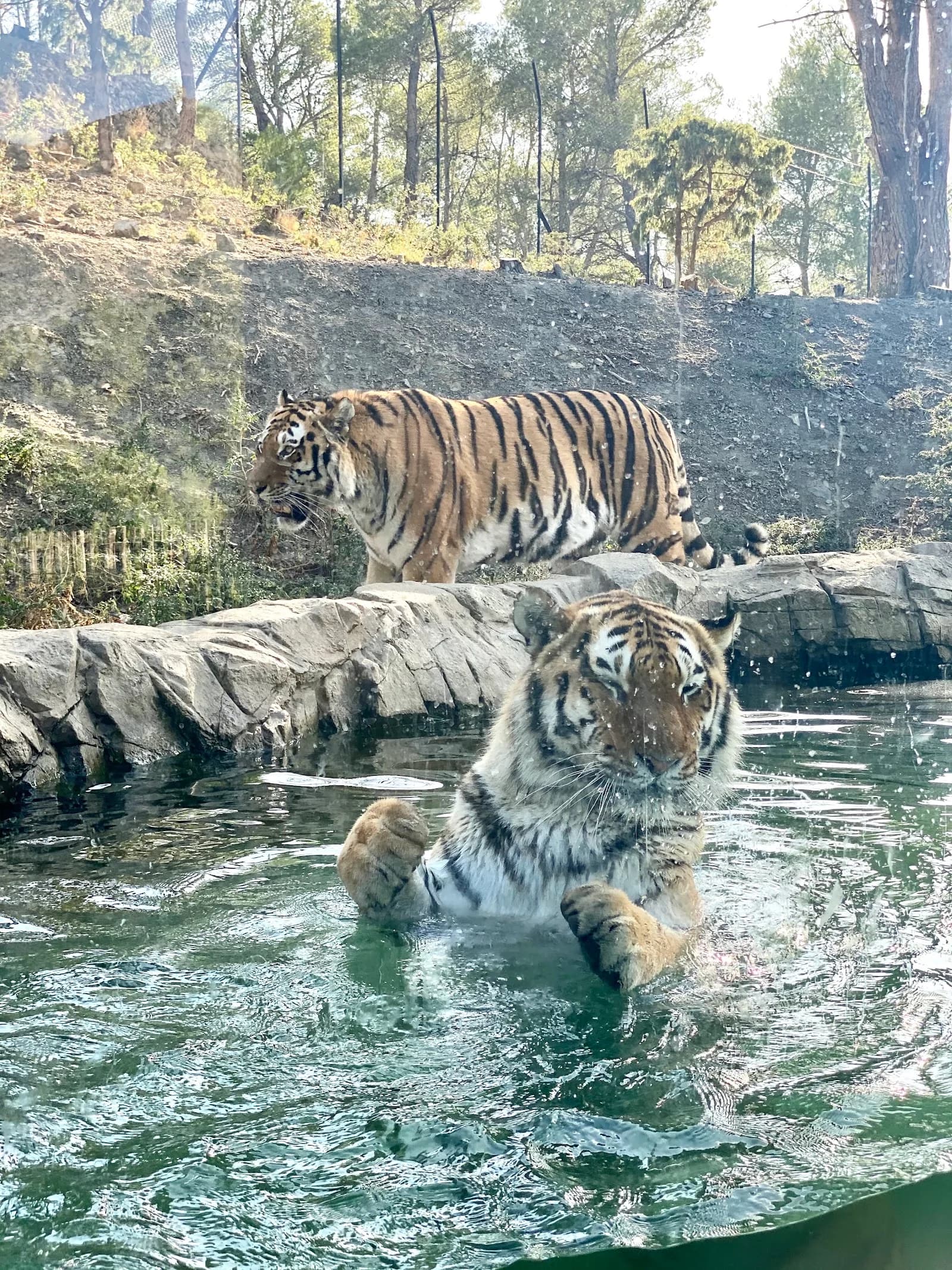 EcoZonia - Parc Animalier