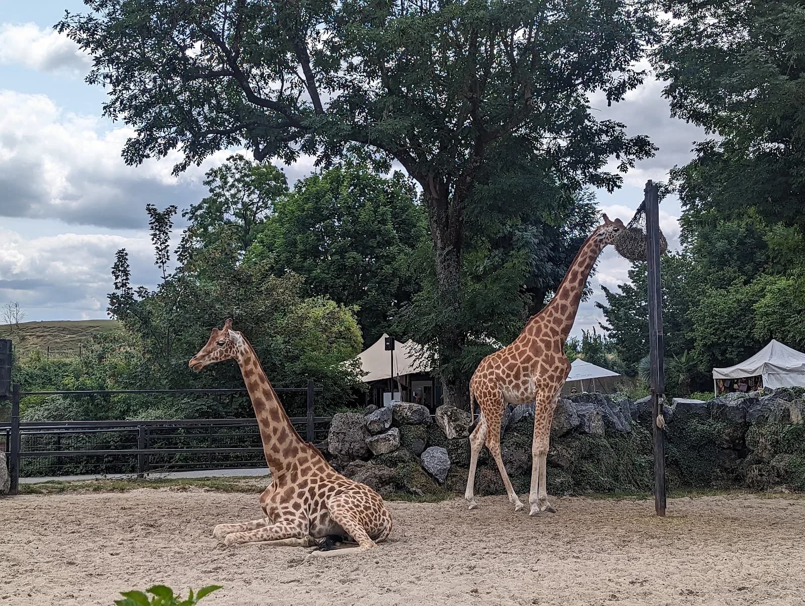 Parc Zoologique de Maubeuge