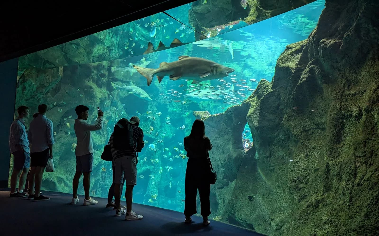 Aquarium de La Rochelle