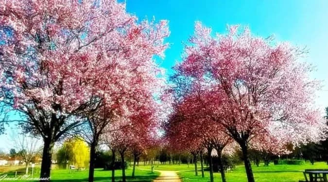 Arboretum et parc de la Rigolée