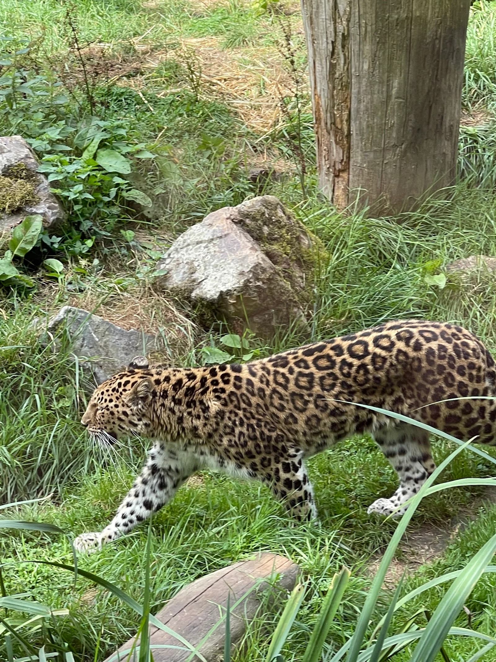 Zoo des Sables d'Olonne