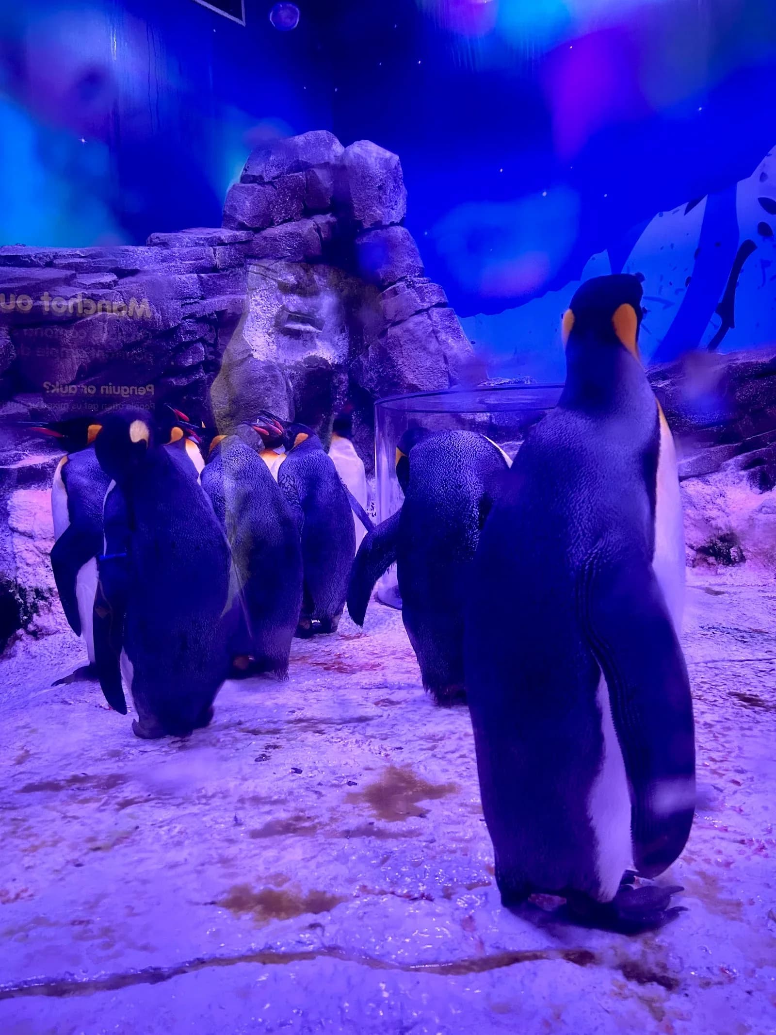 Sea Life Paris Val d'Europe