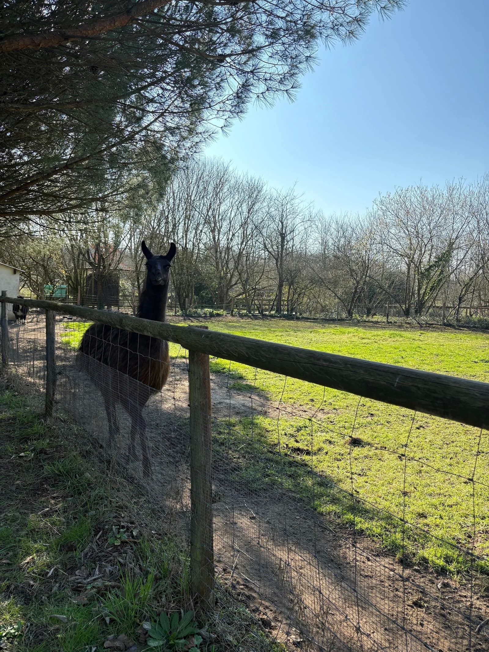 Parc aux animaux