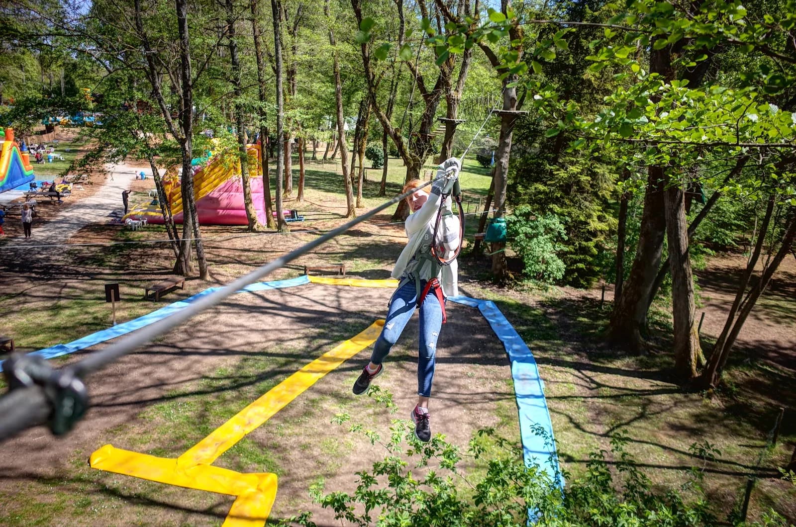 Forestland