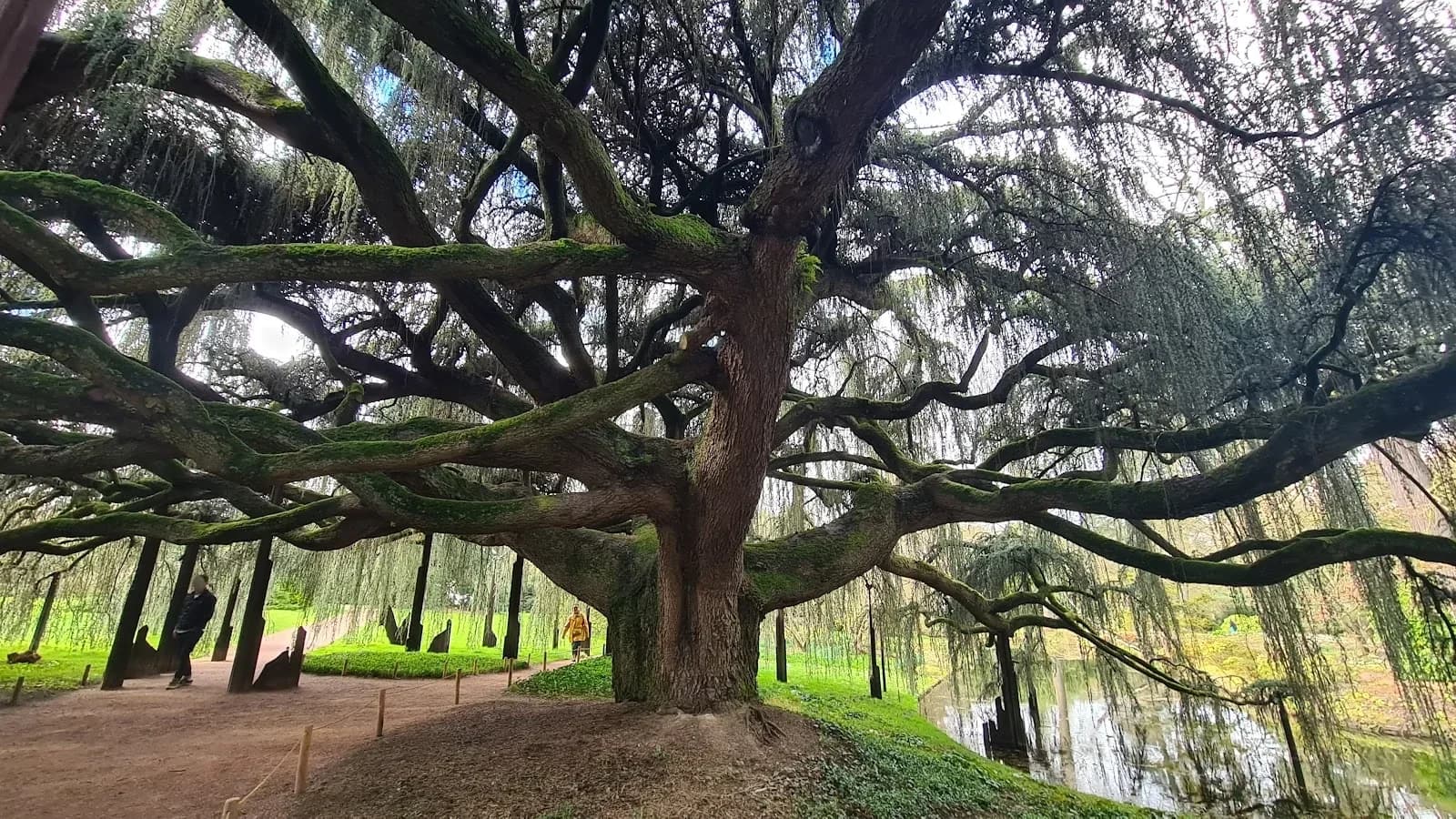 Arboretum de la Vallée-aux-Loups
