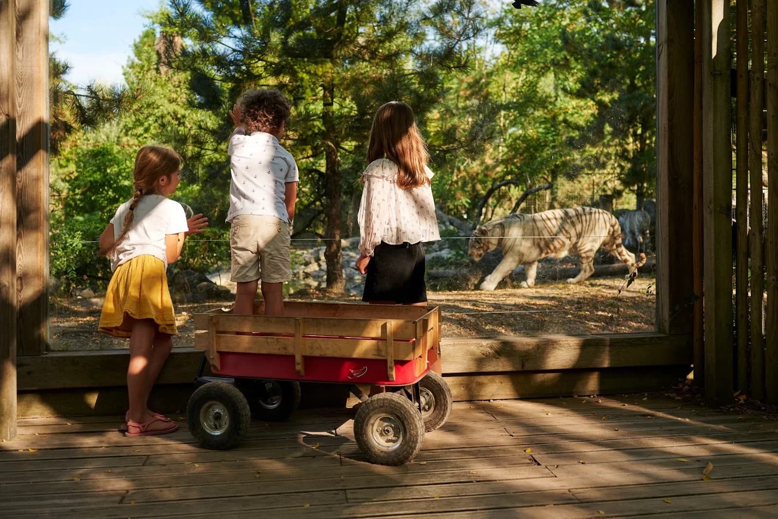 Zoo de Bordeaux Pessac