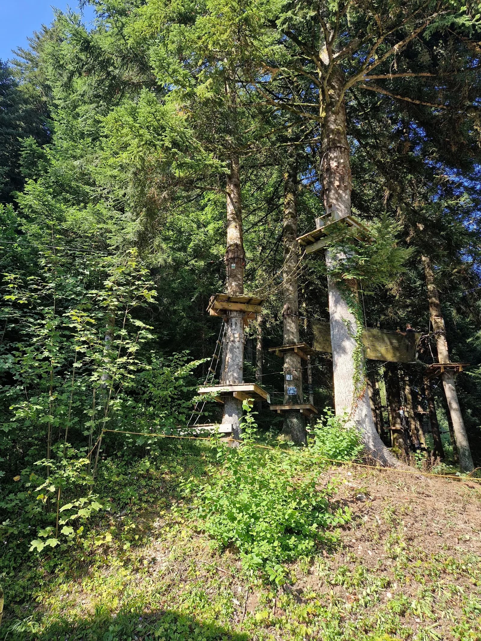Forêt de l'Aventure