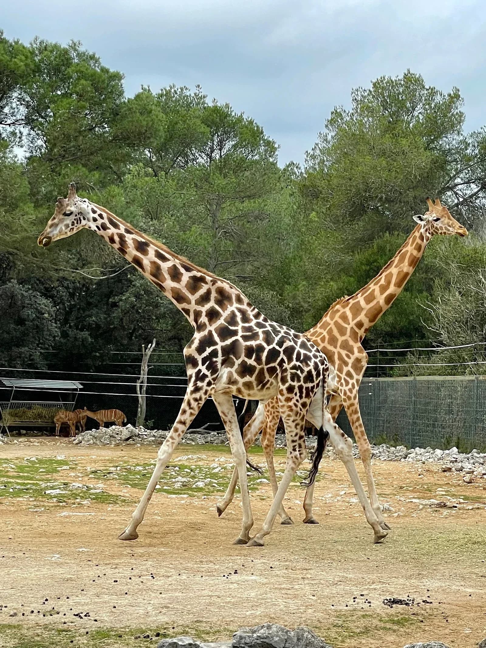 Parc Zoologique Henri de Lunaret