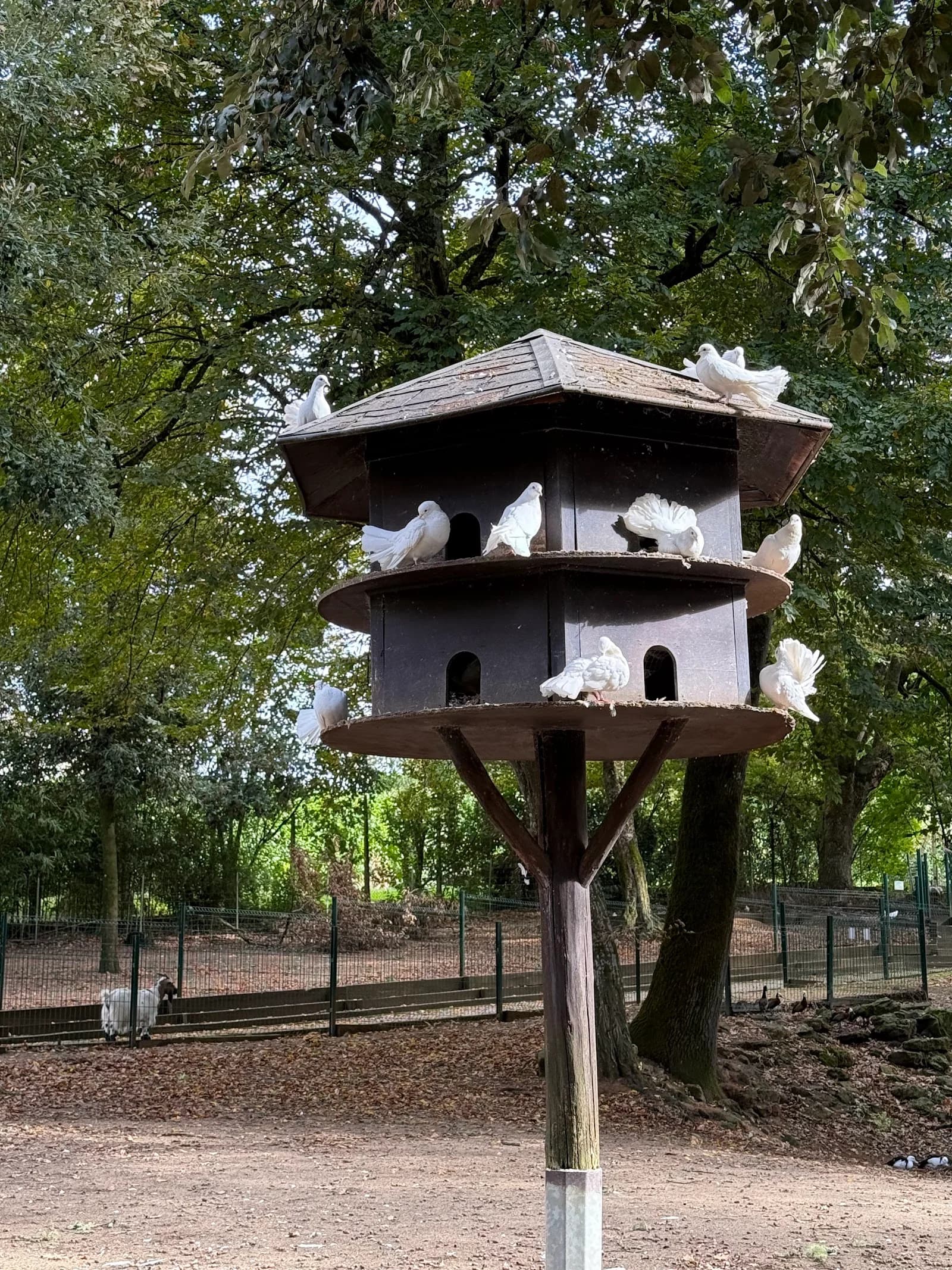 Parc Animalier Laluque