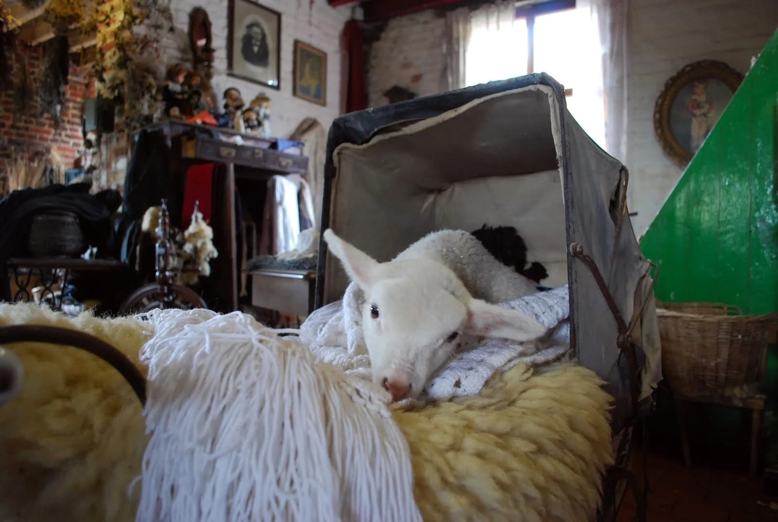 Ferme de la Liesse