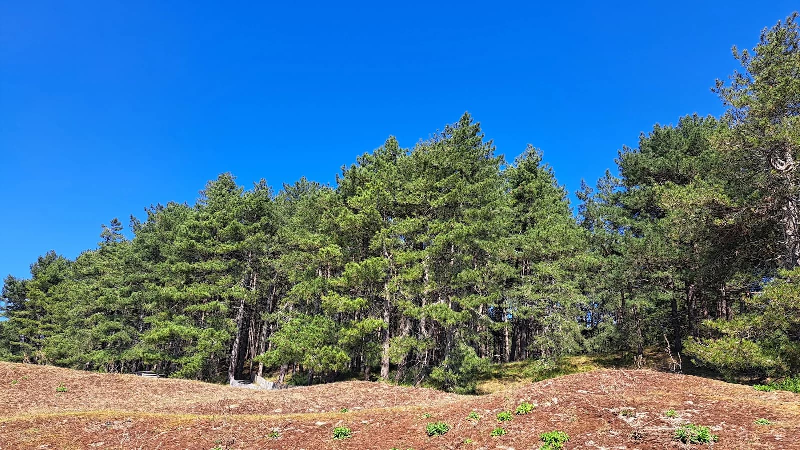 Parc Ornithologique
