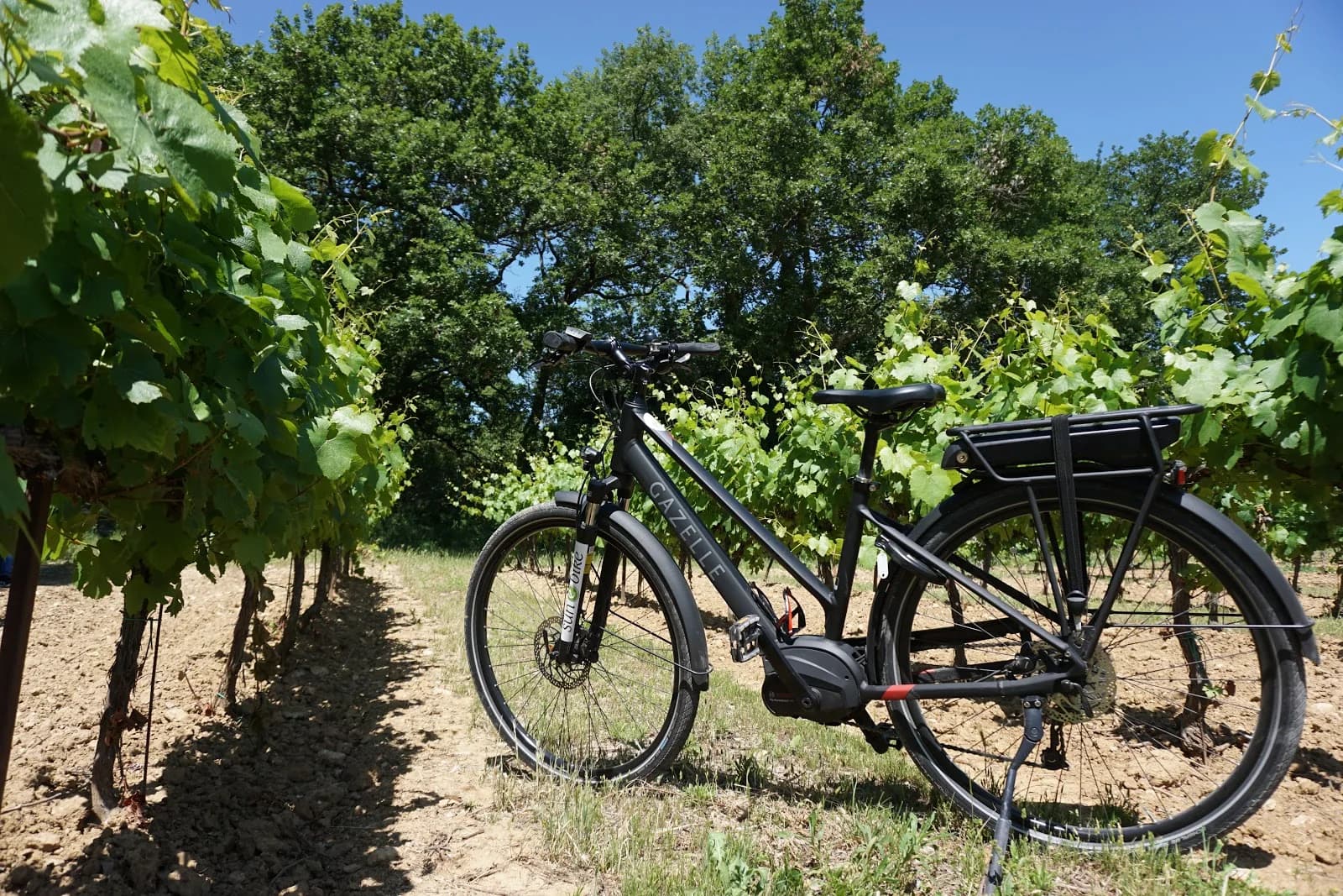 Sun-e-Bike