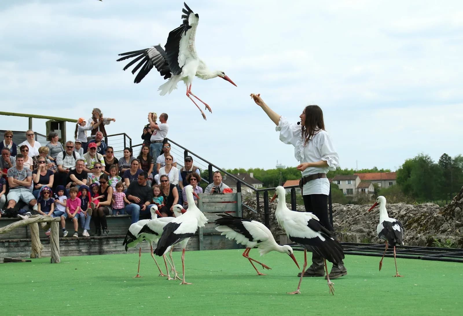 Les Géants du Ciel