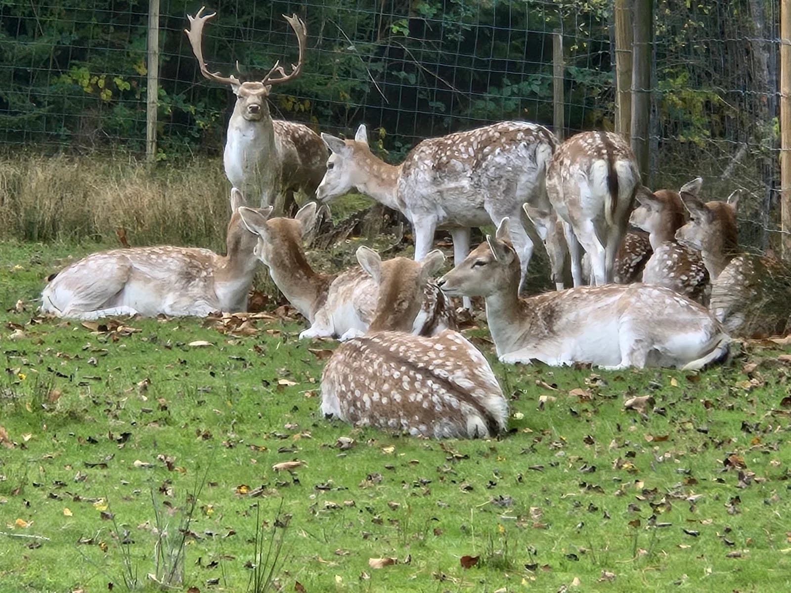 Parc des Dronières