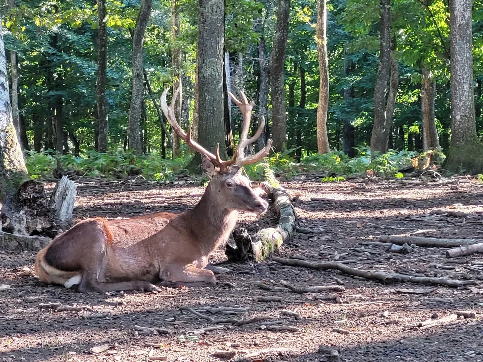 Parc naturel de Chambaran