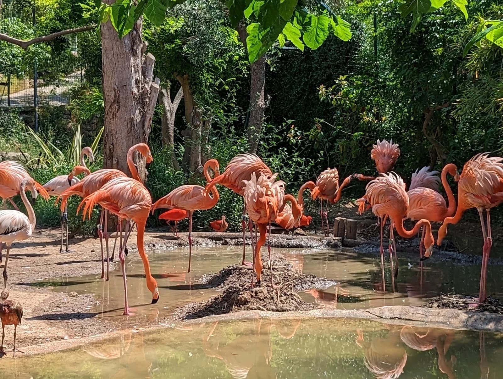 Jardin Exotique et Zoo de Sanary