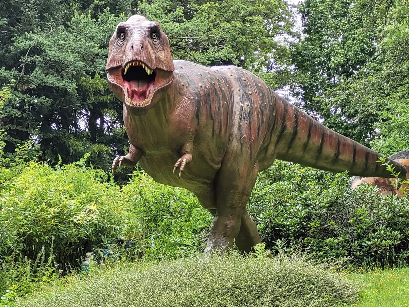 Dino Zoo