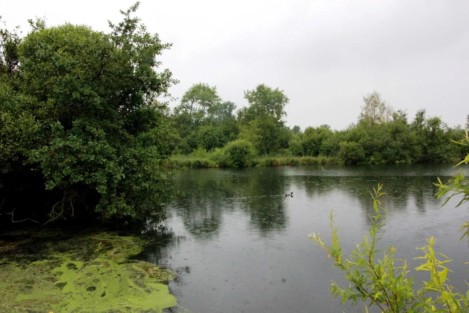 Réserve naturelle des Marais d'Isle