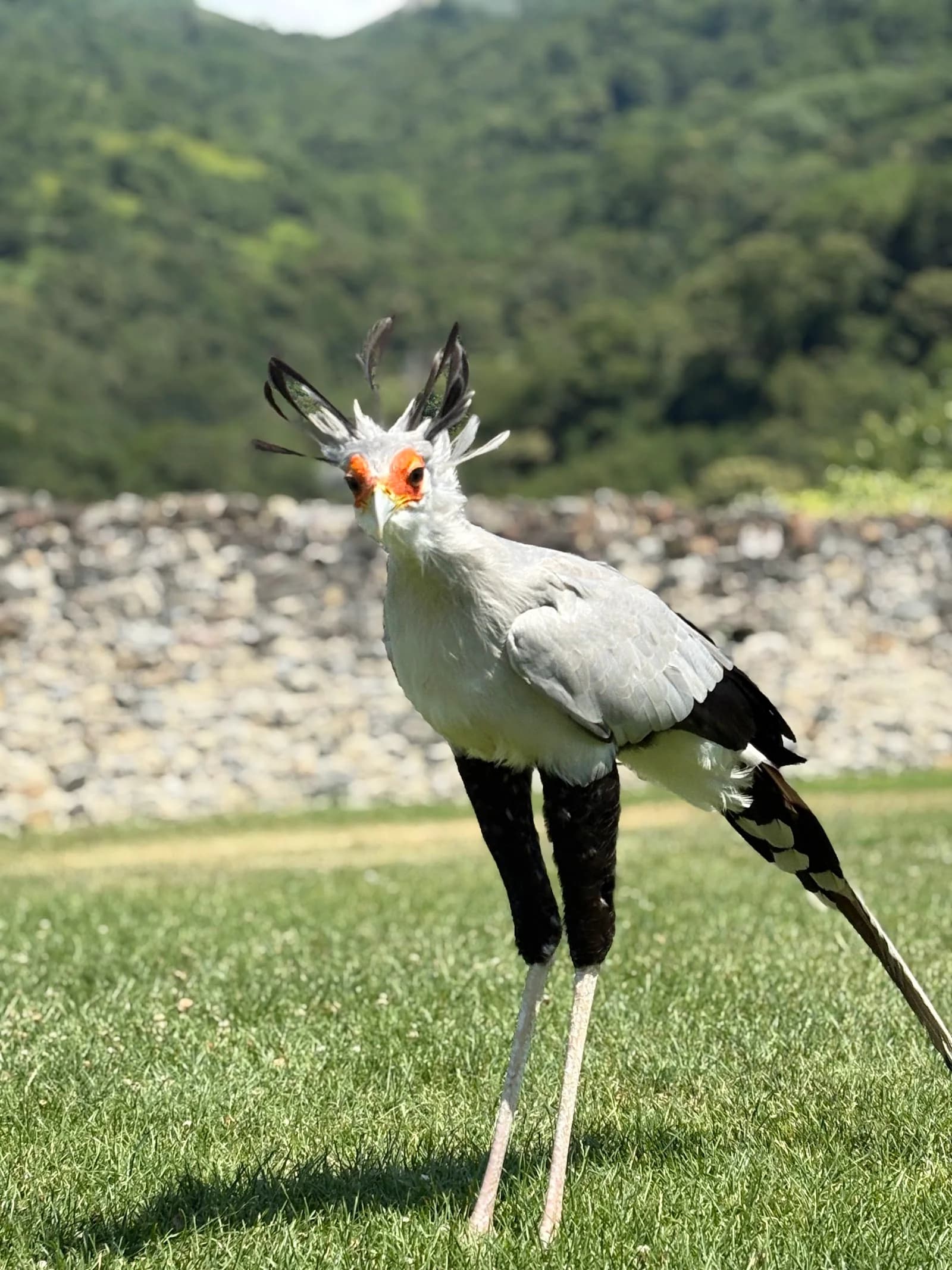 Le Donjon des Aigles