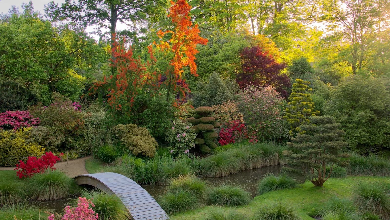 Parc Floral de Haute Bretagne
