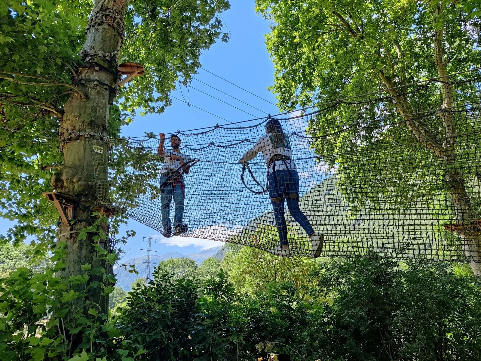 La Forêt Suspendue