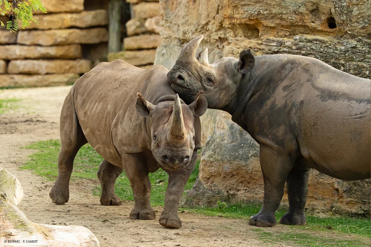 Bioparc