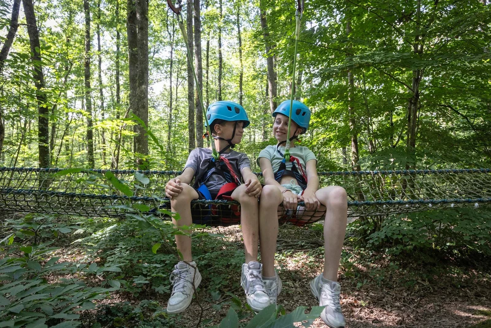 Fun Forest