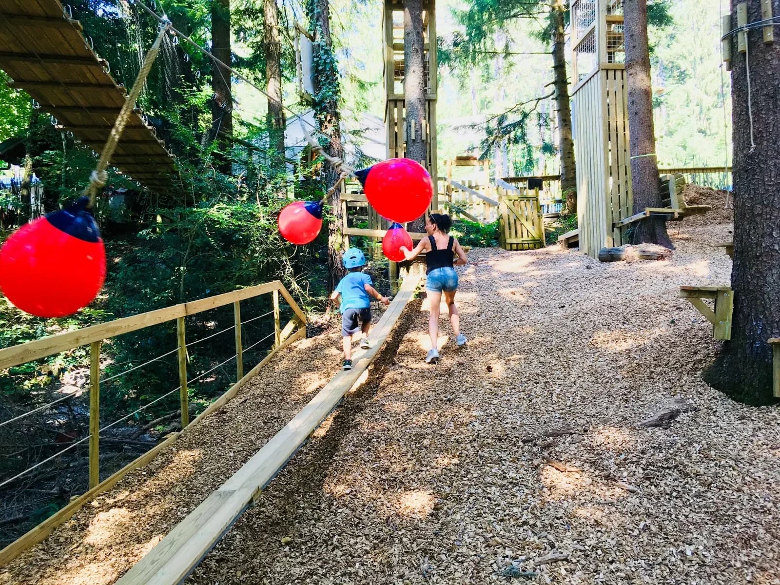 La Forêt de l'Aventure de Talloires