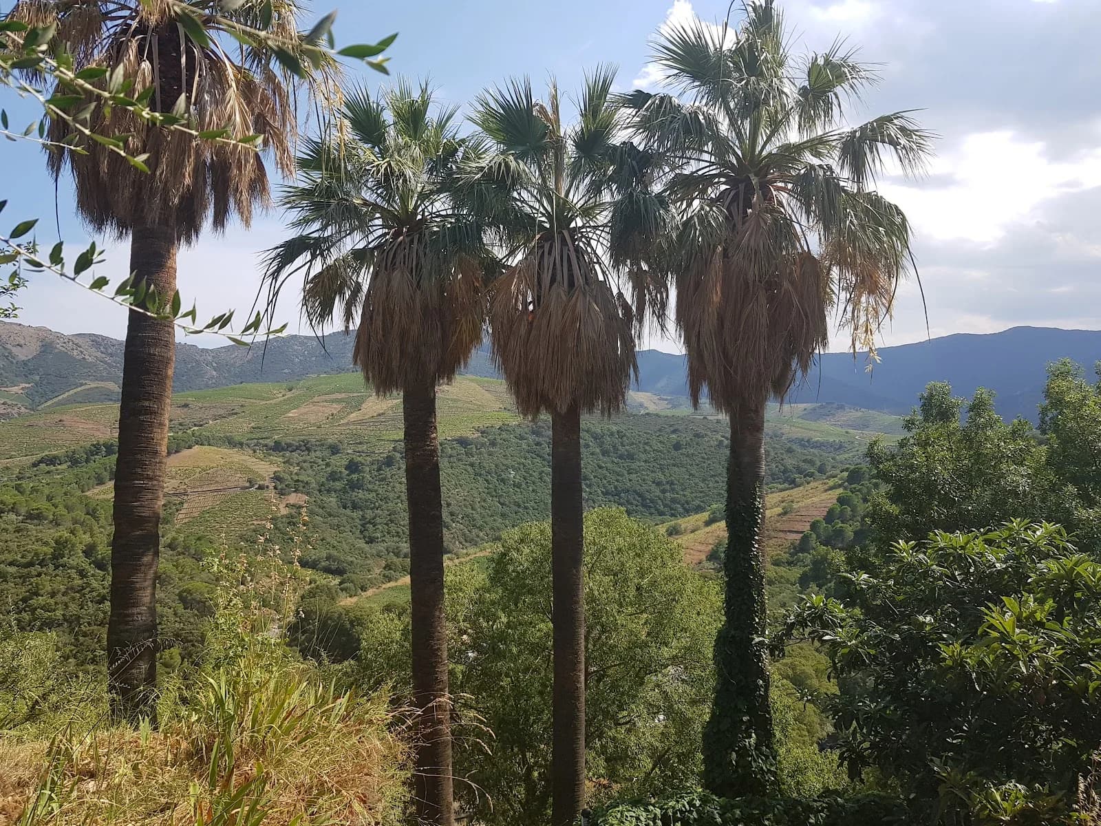 Jardin Méditérranéen du Mas de La Serre, Biodiversarium