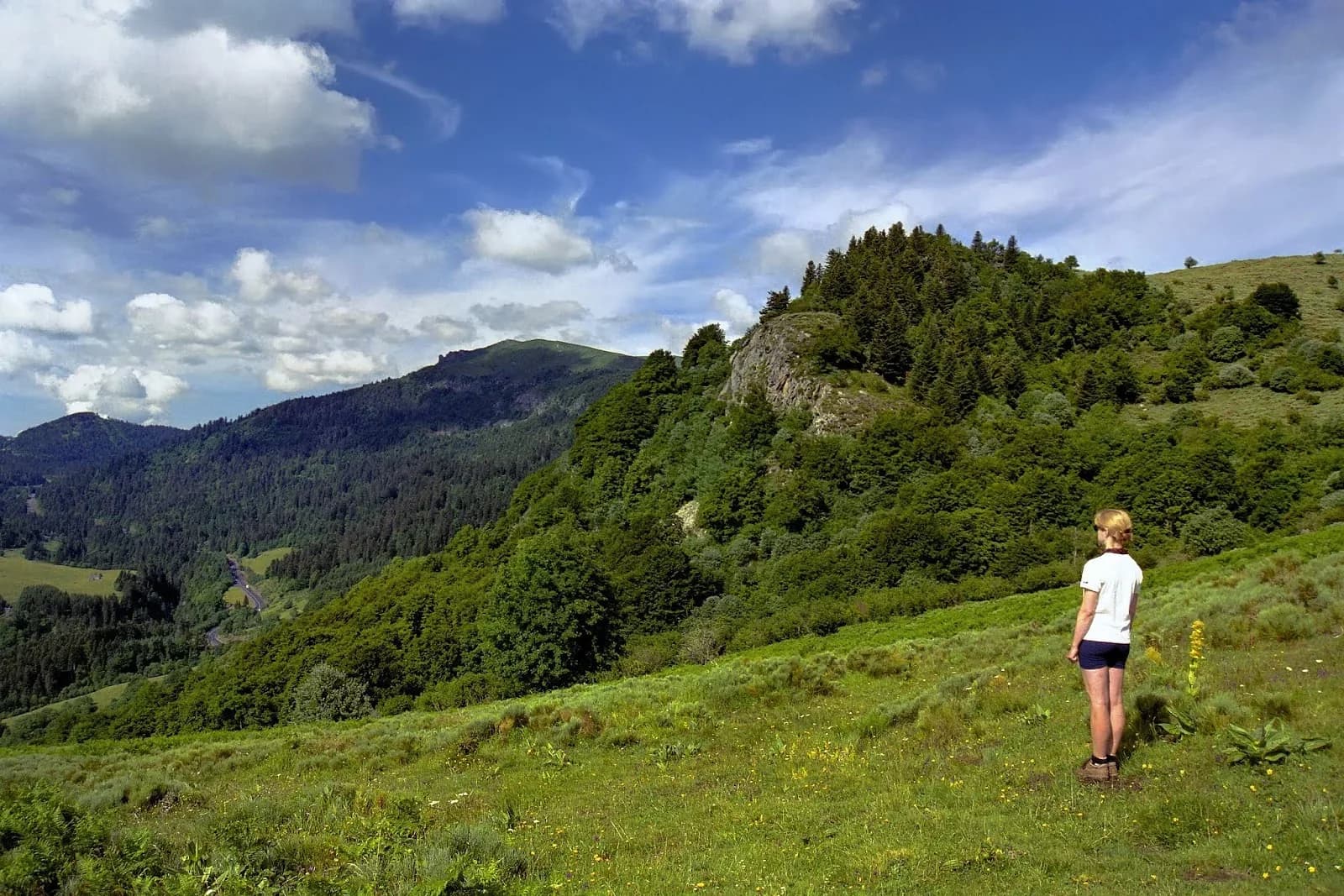 Parc naturel des Volcans d'Auvergne