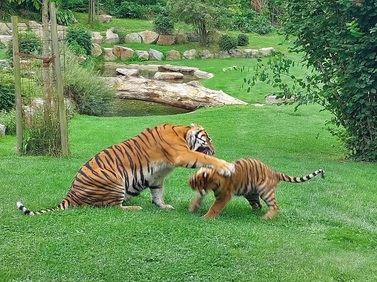 Parc Zoologique de Champrepus