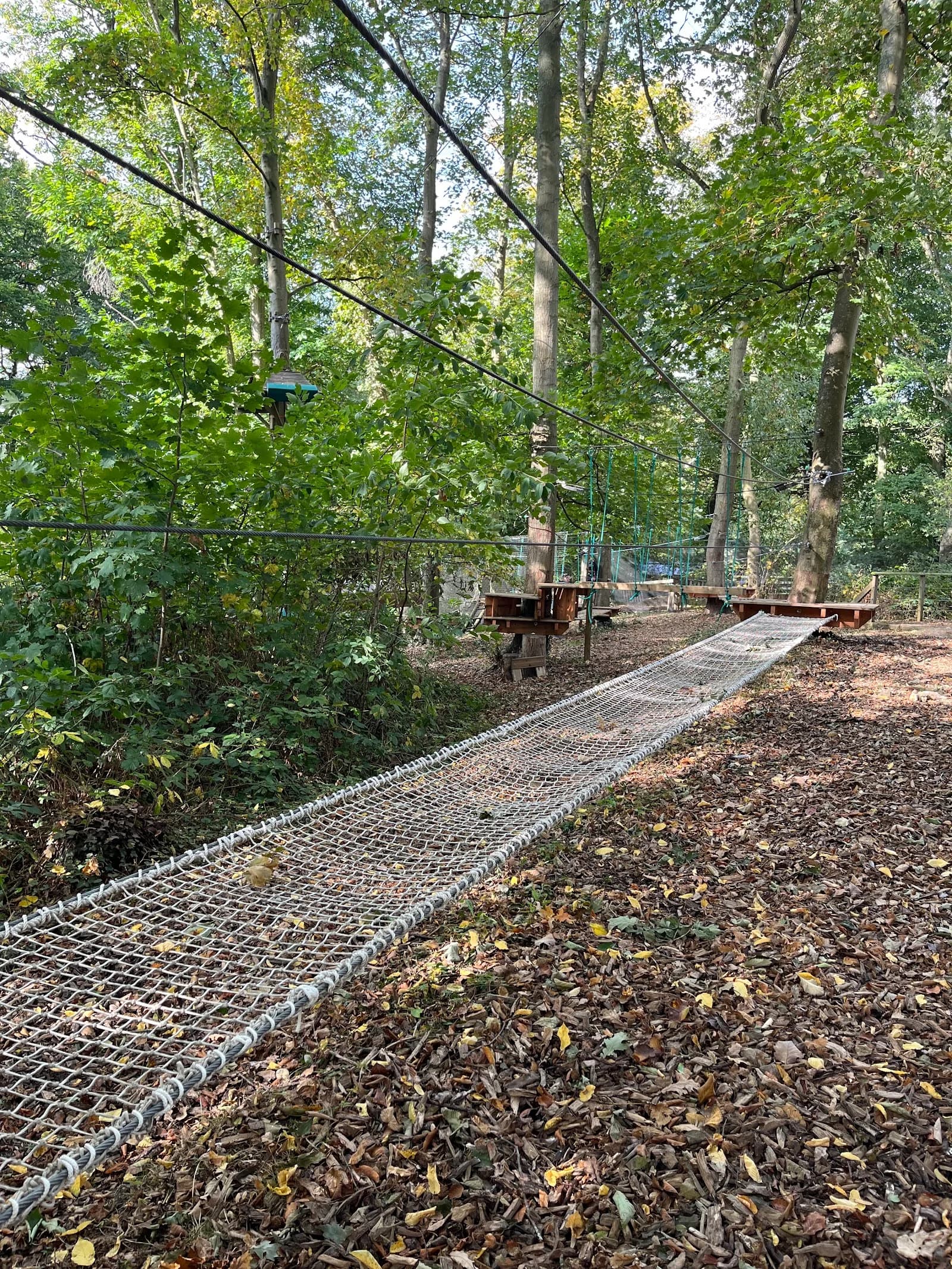 Woody Park