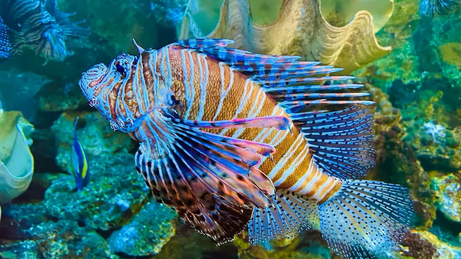 Aquarium du Val de Loire