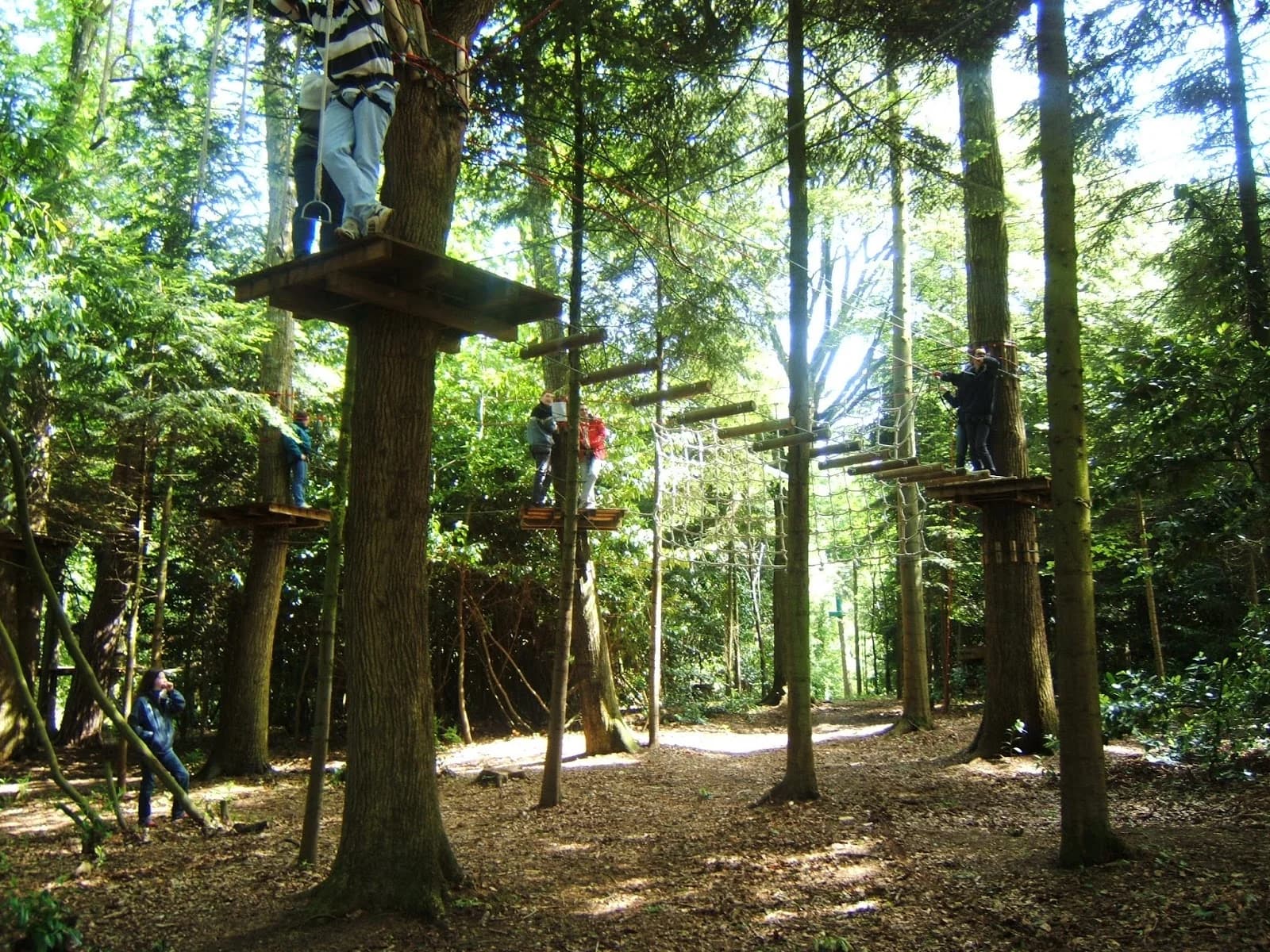 Forest Adventure