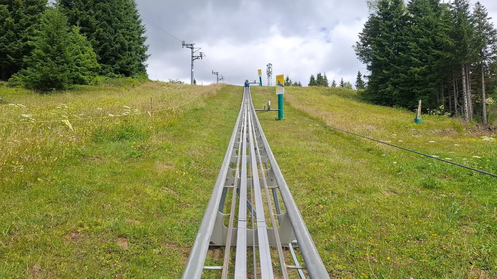 Été : sensations sur les pistes de luge