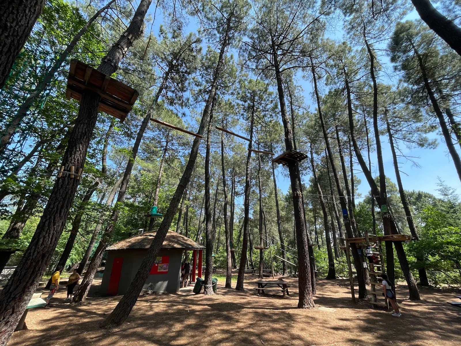 Indian Forest Ardèche